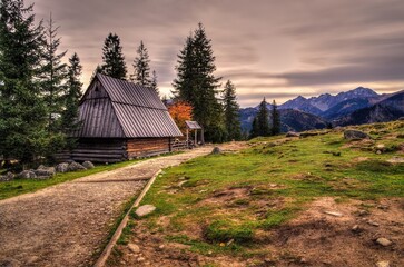 Wooden hut and path in beautiful mountains. Beautiful rural landscape at Rusinowa Polana in High Tatras, Poland. © shadowmoon30