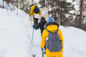 Process of winter hiking in Scandinavia, landscape view of a finnish wilderness with a group of tourists with trekking sticks poles walk in snow in the national park of Finland