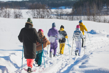 Process of winter hiking in Scandinavia, landscape view of a finnish wilderness with a group of tourists with trekking sticks poles walk in snow in the national park of Finland