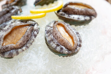 Fresh raw abalone on ice