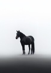 Obraz na płótnie Canvas A horse in the fog. Generative AI