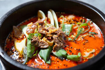 yukgaejang, hot spicy meat stew