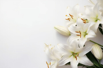 Fototapeta na wymiar White lily flowers on white background, flower pattern, and space for text Mother's Day greeting card, wedding, Generative AI