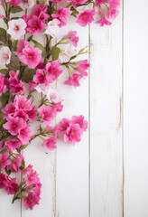 Beautiful pink flowers on white wooden background, concept, Generative AI