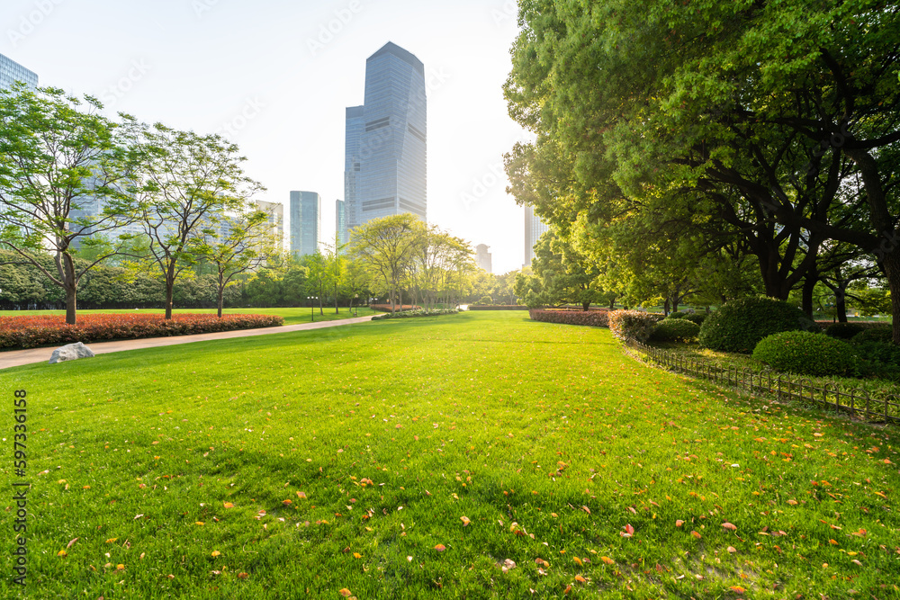 Wall mural green lawn with city park