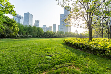 shanghai city skyline with green lawn