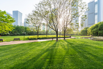 green lawn with city park - obrazy, fototapety, plakaty