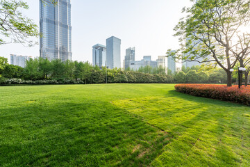 green lawn in shanghai city park