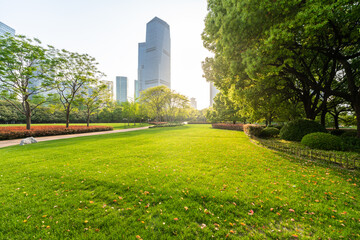 green lawn with city park