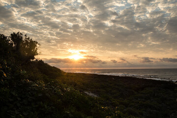 Taiwan