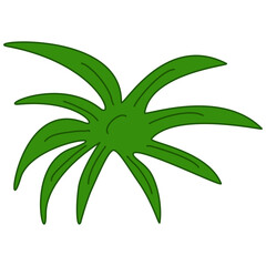 grass bush illustration for decorative element