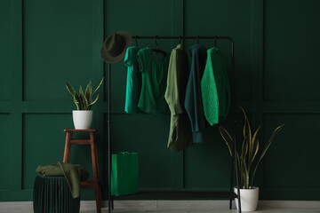 Interior of dressing room with stylish green clothes and houseplants