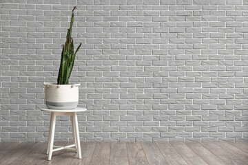 Pot with big cactus on stool near grey brick wall