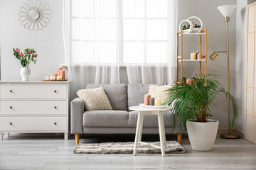 Interior of living room with cozy sofa, burning candles and houseplant