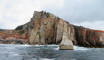 Fototapeta na wymiar Maria Island, east coast of Tasmania, Australia a convict settlement