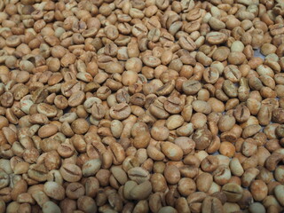 Drying Robusta coffee beans in Thailand