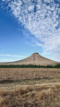 Cerro y milpa en Sinaloa