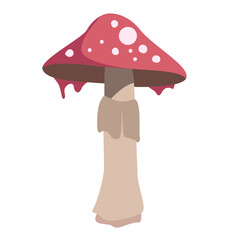 Mushroom Illustration Toadstool