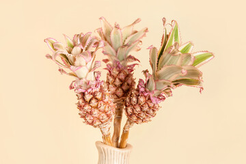 Vase with decorative pineapples on beige background, closeup