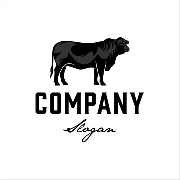 Black angus bull logo with masculine style design