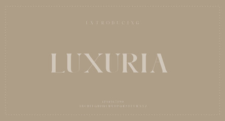 Vector elegant alphabet letters font and number classic modern serif lettering minimal fashion typography decoration fonts for branding wedding invitations logo vector illustration