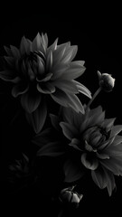 Black Flower Wallpaper Vertical Background | Generative AI