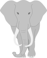 ゾウ