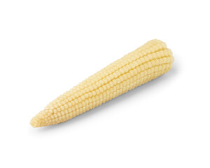 Tasty canned corn cob on white background