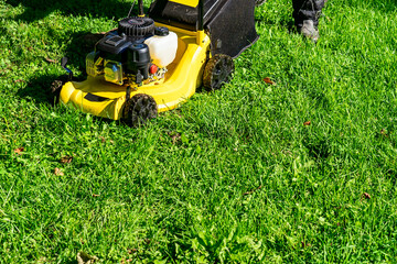 lawn mower on a sunny day, man mowing the lawn in the backyard