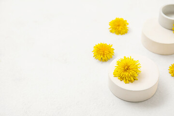 Decorative podiums with dandelion flowers on white background