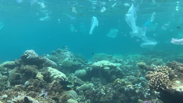 Crazy Amounts of Plastic Bags and Rubbish Debris Littered Across The Tropical Ocean Reef - Underwater