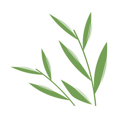 Tropical leaf. Green branch on a white background. Graphic element for website, sticker for social networks and instant messengers. Minimalistic and aesthetic design. Cartoon flat vector illustration.