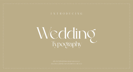 Luxury wedding alphabet letters font with tails typography elegant classic serif fonts and number decorative vintage retro concept for logo branding vector illustration