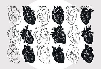 Realistic Heart SVG Bundle, Heart Silhouette, Real Human Heart Svg, Cardiology Svg, Human Heart Svg,