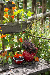 Rustic Garden Still Life With Berries And Flowers