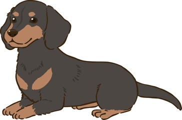 ふせるダックスフンド（スムースコート、ブラックタン）