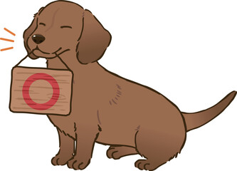 丸マークを持つダックスフンド（スムースコート、レッド）