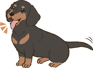 喜ぶダックスフンド（スムースコート、ブラックタン）