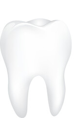 Healthy human tooth. Dental care concept, illustration.