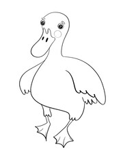 contour line illustration cartoon childish style cute birds duck character printable sticker coloring book design element