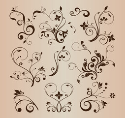 floral ornaments for design