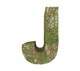 Creeping fig wall letter J on transparent background