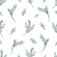 Watercolor rosemary seamless pattern. Winter print on white background. Evergreen spruce, Hand drawn botanical illustration for fabric, wrapping paper.
