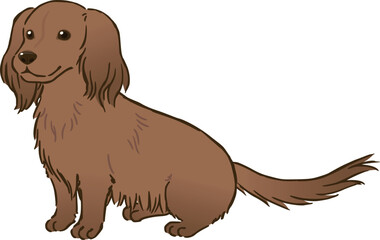 おすわりするダックスフンド（ロングコート、レッド）