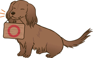 丸マークを持つダックスフンド（ロングコート、レッド）