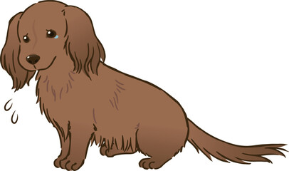 悲しむダックスフンド（ロングコート、レッド）