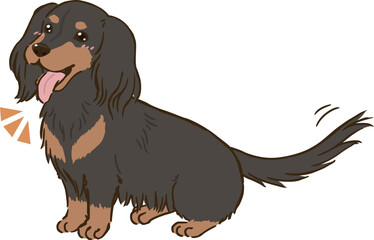 喜ぶダックスフンド（ロングコート、ブラックタン）