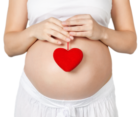 Pregnant mother showing her belly and holding a mini heart