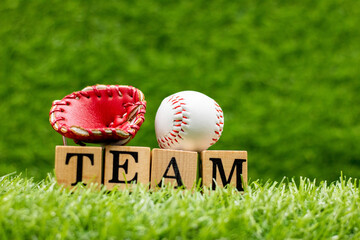 The baseball team is a group of people who play baseball together. They work together to try to win games and compete against other teams.