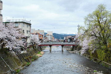 Ikada bridge that cross the Miyagawa River in april during sakura blossom, in Takayama, Hida, Gifu, Japan. April, 2023. © Ladanifer